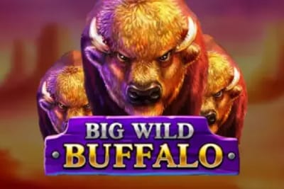 Big Wild Buffalo