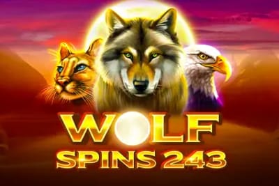 Wolf Spins 243